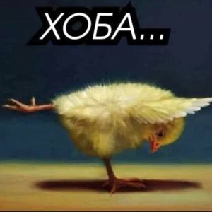 Meet your Posher, Nadia